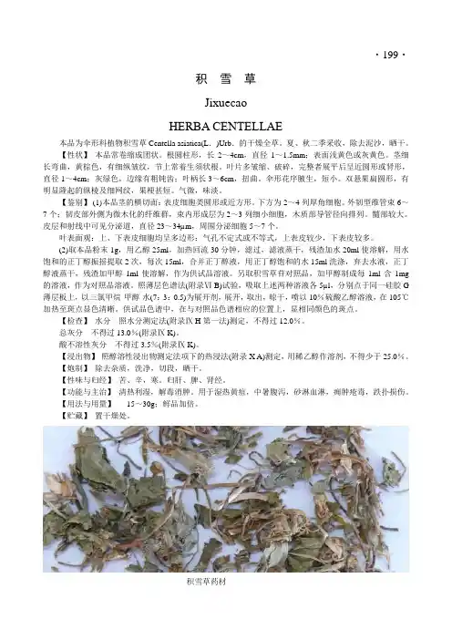积雪草