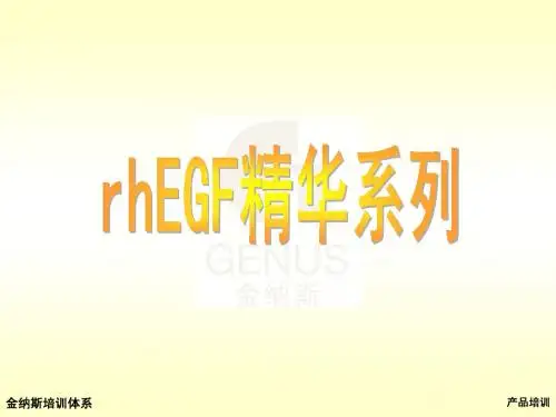 rhEGF精华系列1