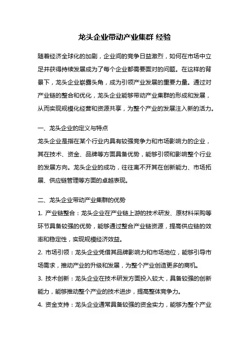 龙头企业带动产业集群 经验