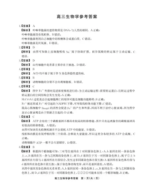 安徽省临泉田家炳实验中学2024-2025学年高三上学期期中考试生物答案