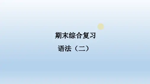 人教版英语七年级上册期末复习：语法(二)  课件(共16张PPT)