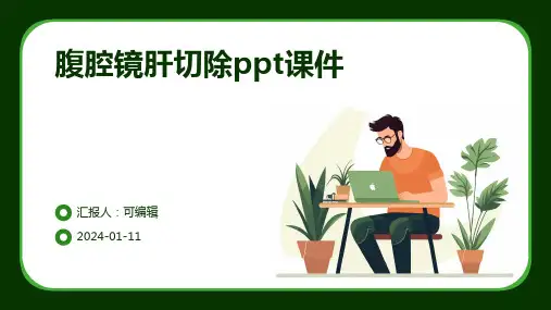 腹腔镜肝切除PPT课件