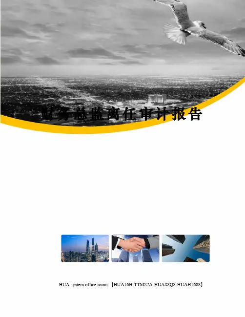 财务总监离任审计报告定稿版