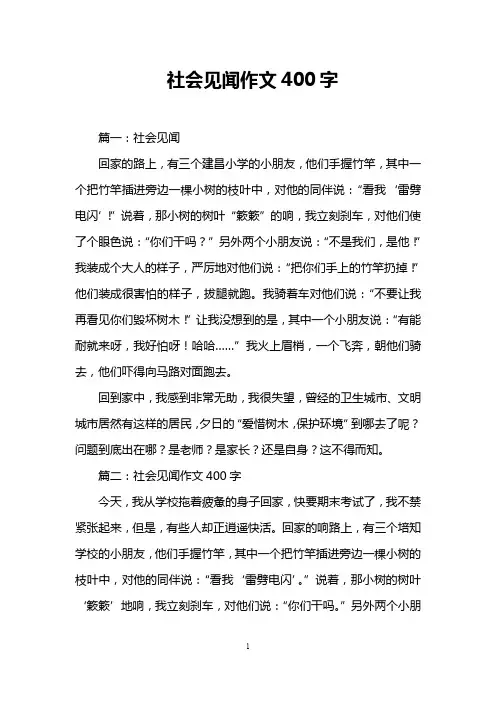 社会见闻作文400字
