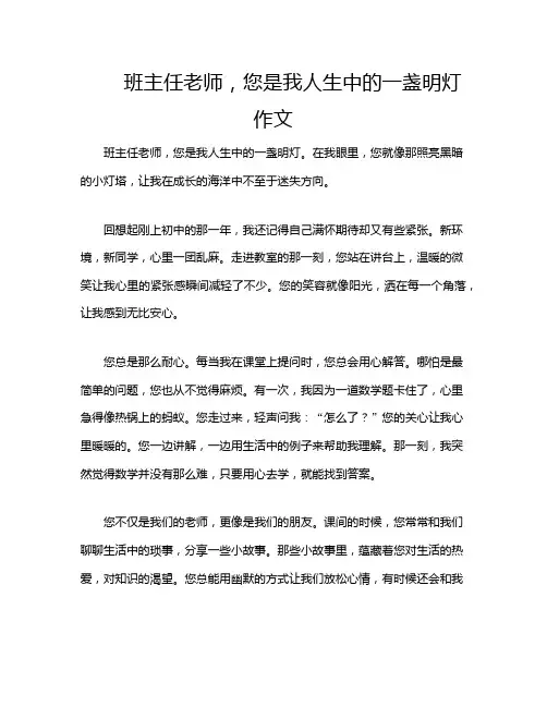 班主任老师,您是我人生中的一盏明灯作文