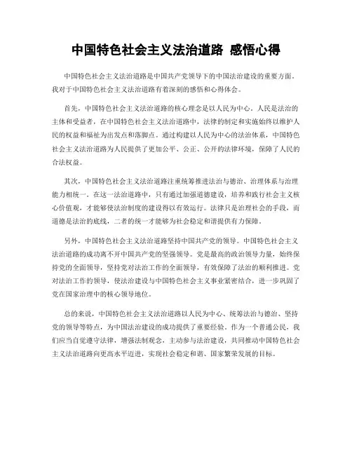 中国特色社会主义法治道路 感悟心得