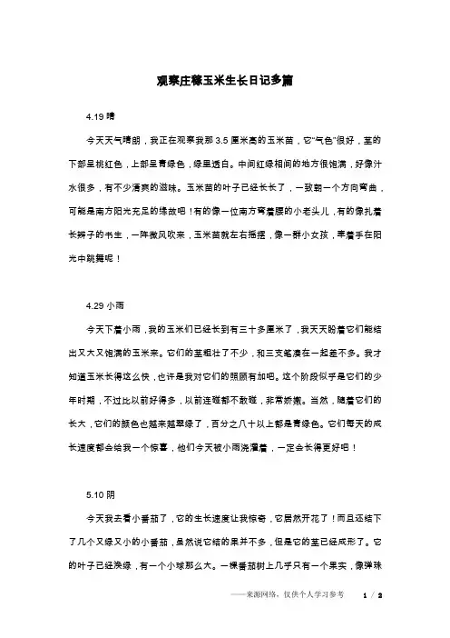 观察庄稼玉米生长日记多篇