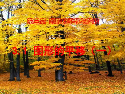 北师大版数学八年级下册第三章《 3.1图形的平移(1)》课件