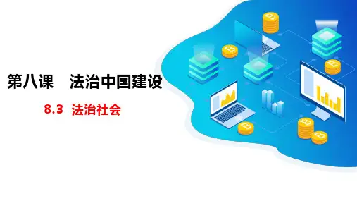 高中政治必修3《政治与法治》8.3法治社会(精品课件)