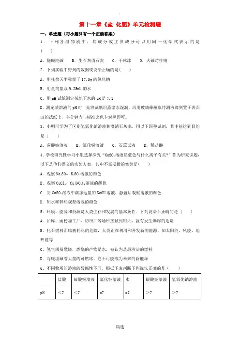 九年级化学下册 第十一章《盐 化肥》单元检测题1(含解析)新人教版