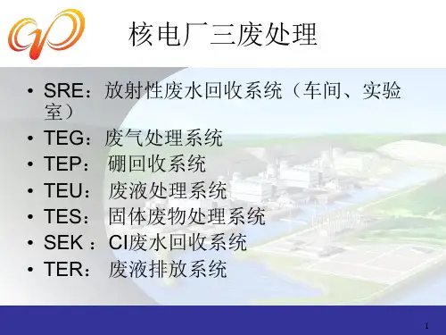 核电厂废物处理