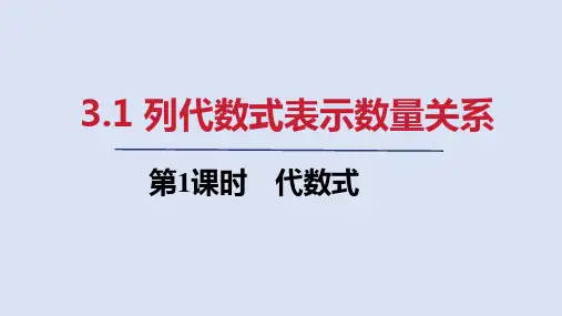 3.1   第1课时 代数式  课件(共19张PPT)  人教版七年级数学上册