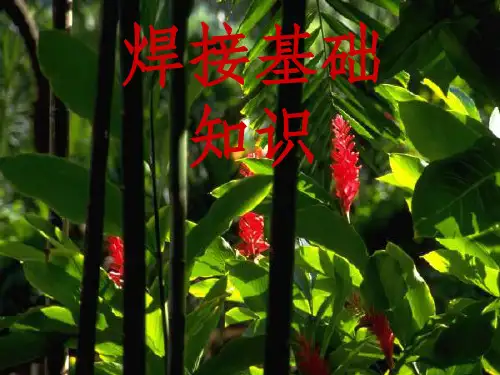 焊条电弧焊工艺