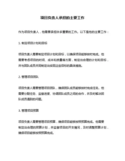 项目负责人承担的主要工作