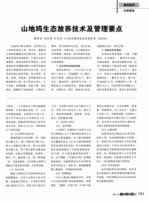 山地鸡生态放养技术及管理要点