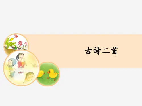 新版一年级下册-课文(四)12古诗二首 人教(部编版) (共13张PPT)