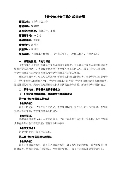 青少年社会工作教学大纲