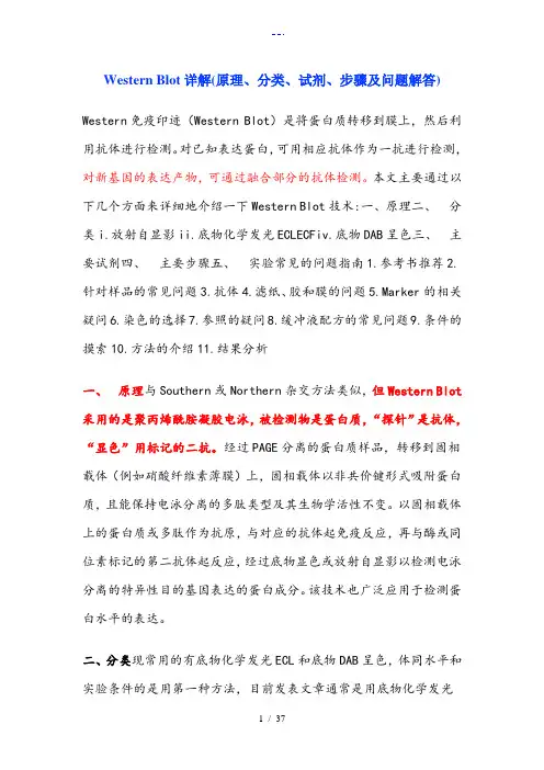 最详细的WesternBlot过程步骤详解
