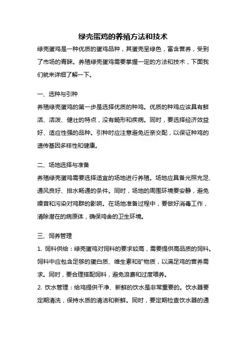绿壳蛋鸡的养殖方法和技术