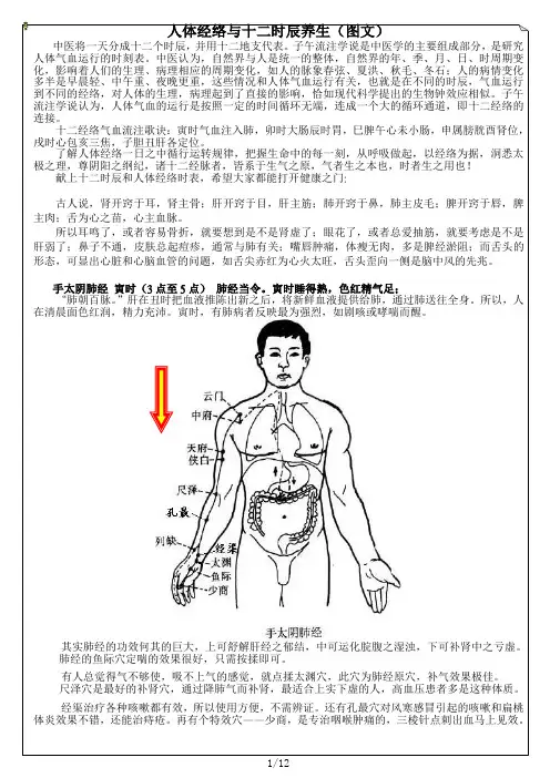 人体经络与十二时辰养生(图文)