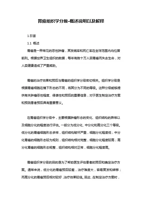 胃癌组织学分级-概述说明以及解释
