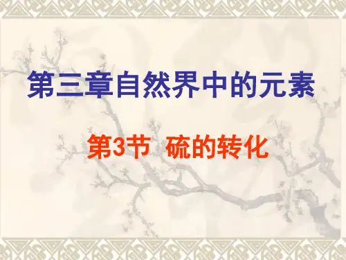 硫的转化完整资料