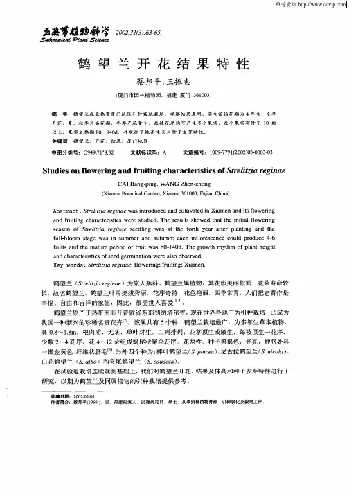 鹤望兰开花结果特性