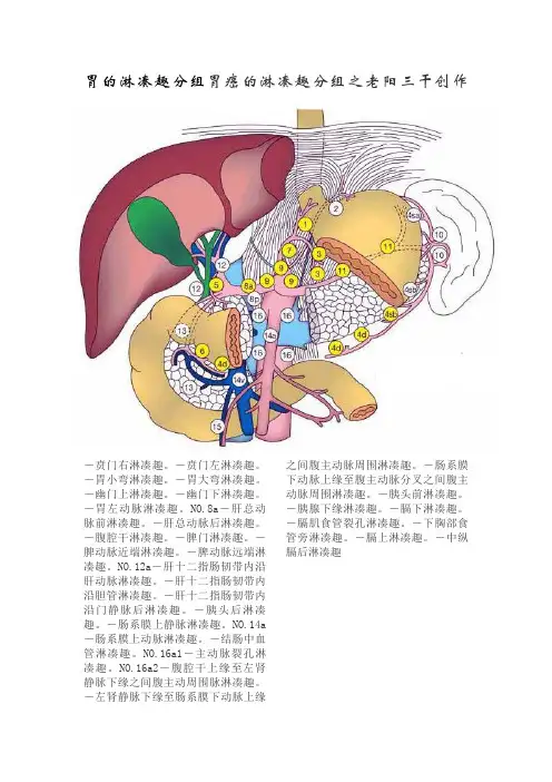 胃的淋巴结分组