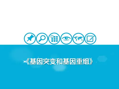 基因突变和基因重组 课件 2021届高考一轮复习生物