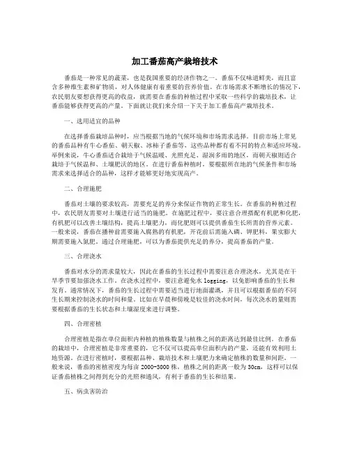加工番茄高产栽培技术