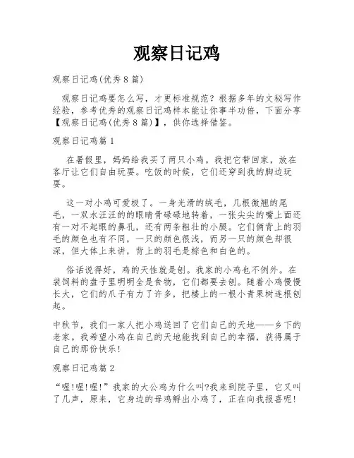 观察日记鸡