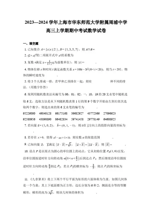2023—2024学年上海市华东师范大学附属周浦中学高三上学期期中考试数学试卷
