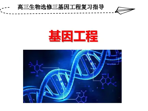 高三生物选修三《基因工程》复习课件
