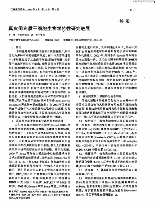 真皮间充质干细胞生物学特性研究进展