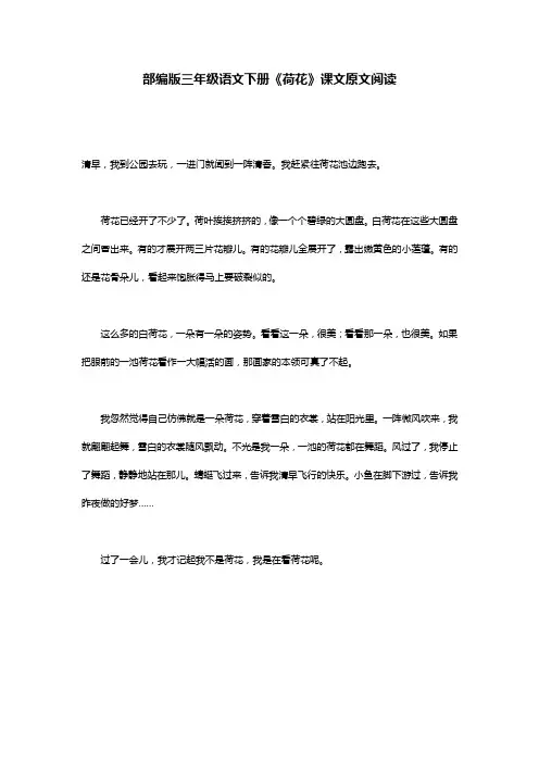 部编版三年级语文下册《荷花》课文原文阅读