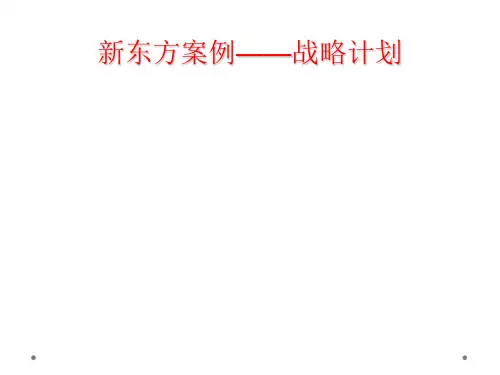 新东方案例——战略计划