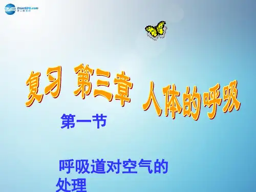七年级生物下册 第四单元 第三章 第一节 呼吸道对空气的处理课件1 新人教版