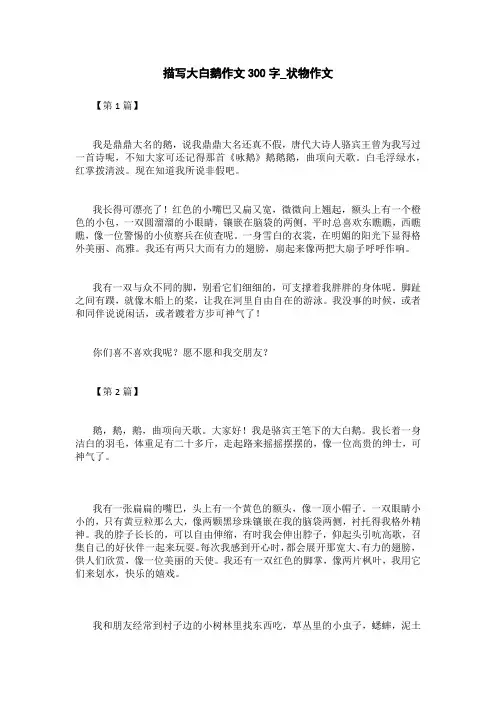 描写大白鹅的作文300字_状物作文