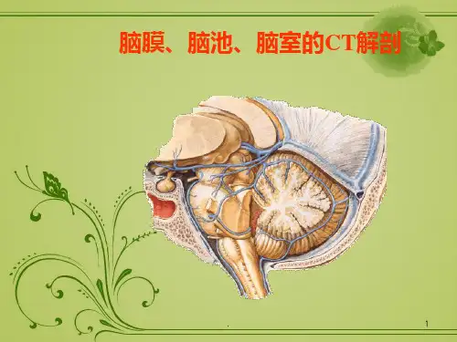 脑膜、脑池、脑室CT解剖