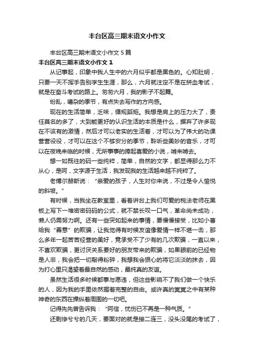丰台区高三期末语文小作文