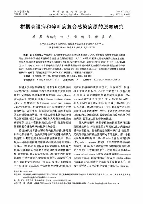 柑橘衰退病和碎叶病复合感染病原的脱毒研究
