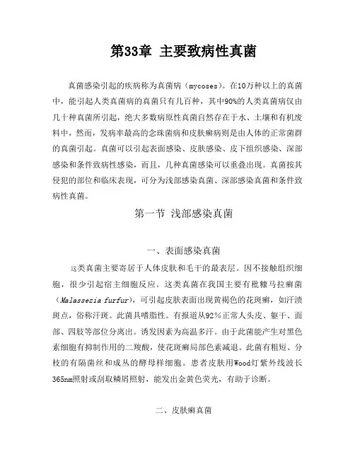 主要致病性真菌