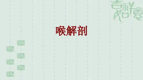 喉解剖