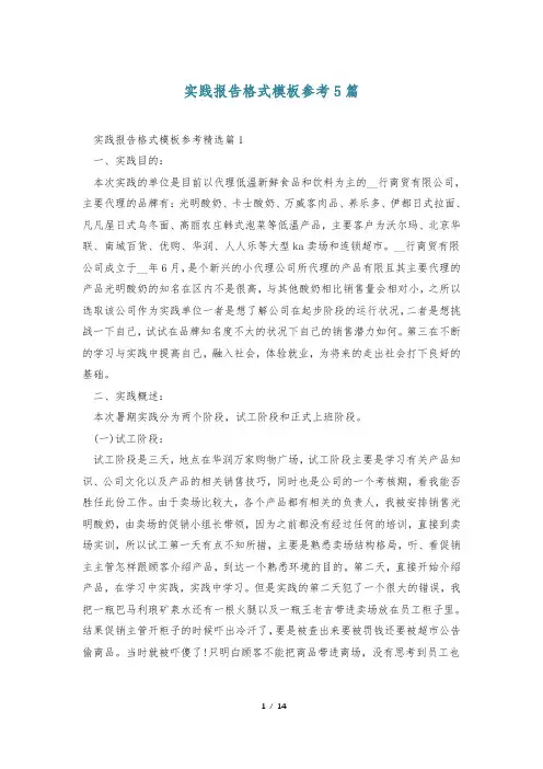 实践报告格式模板参考5篇