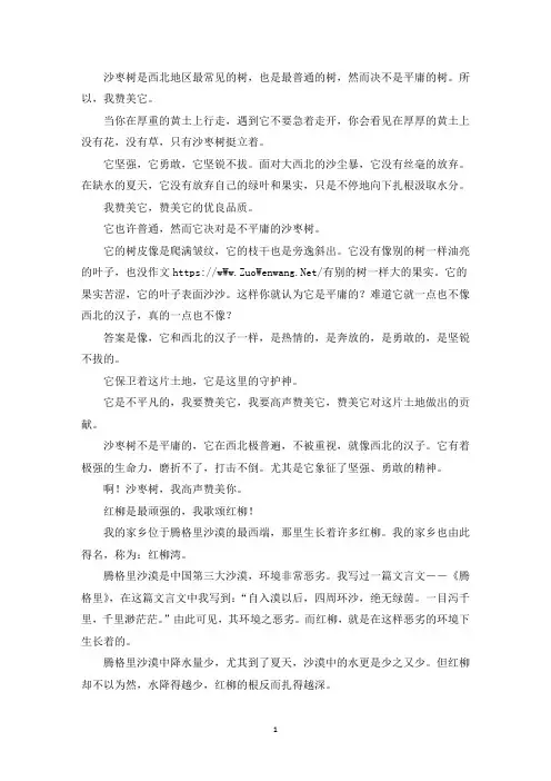 精选优秀作文沙枣树
