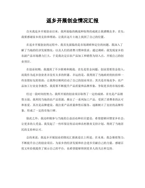 返乡开展创业情况汇报