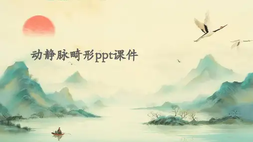 动静脉畸形ppt课件