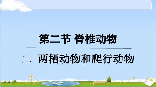 2024年秋季新人教版七年级上册生物课件 第二单元第二章第二节二
