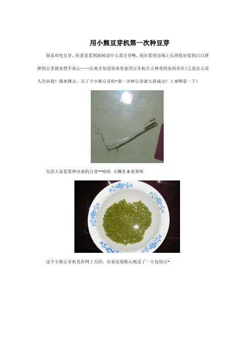 用小熊豆芽机第一次种豆芽