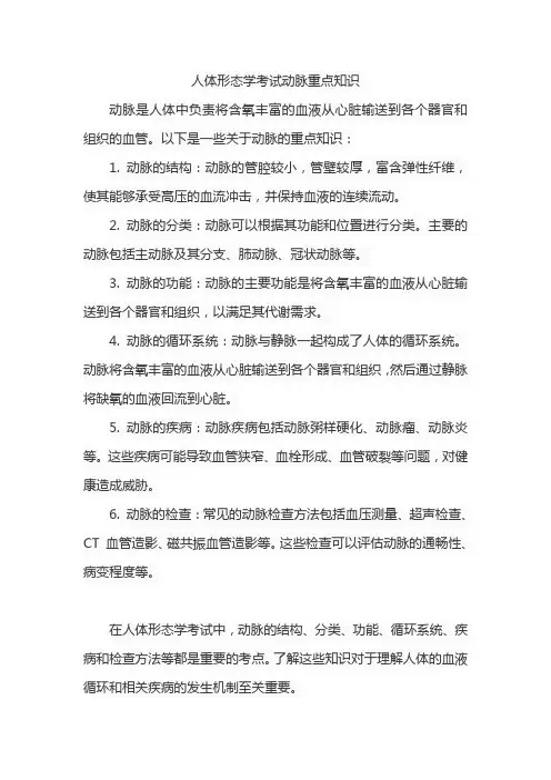 人体形态学考试动脉重点知识